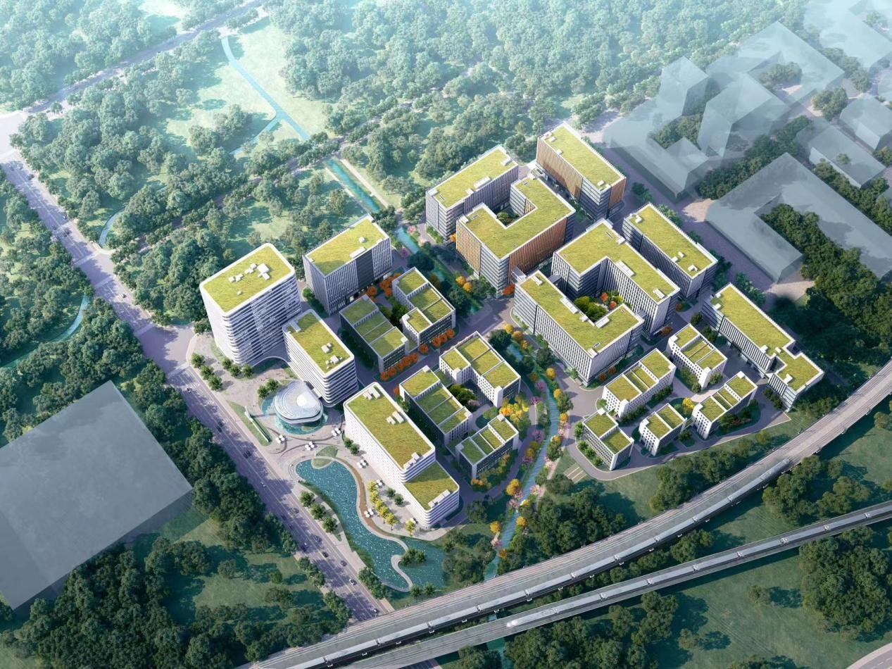 pic2.jpg